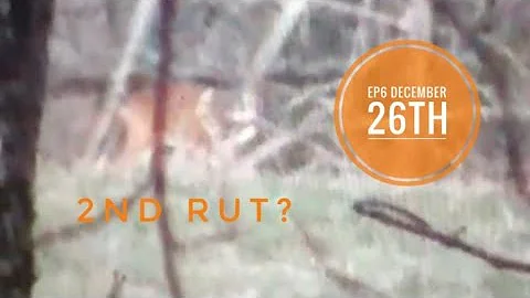 EP6 big 10 pointer in late season. 2nd rut action🔥🔥?