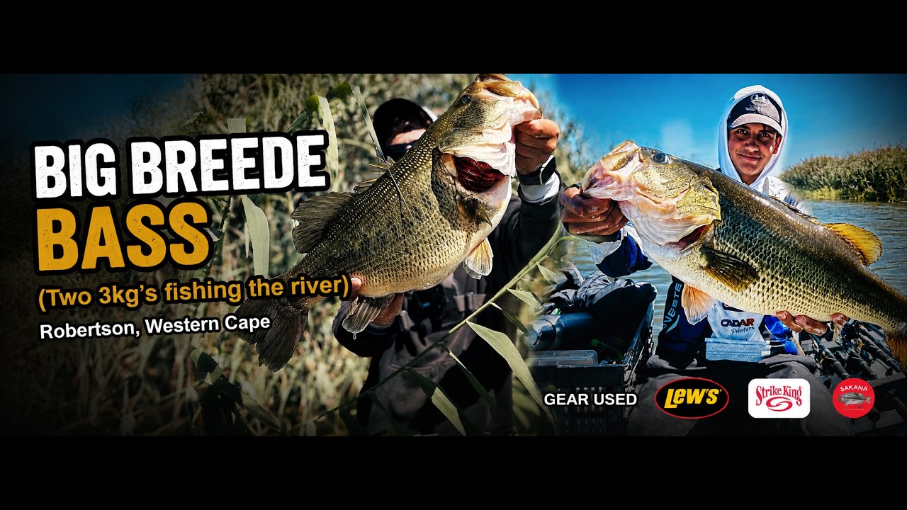 🔥 Back-to-Back 3KG GIANT Bass! | Breede River Monster Session!