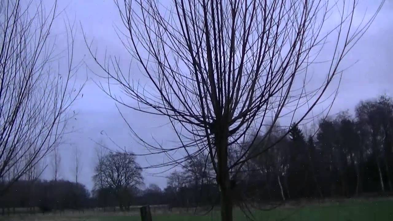 Imkerij Het Waterbroek, januari 2016