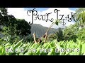 "Back to the Roots" by Paul Izak