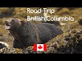 Kanada - British Columbia Road Trip