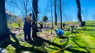 Spring Garden Clean Up: Cutting Back Perennials and Grasses. Random Yard Work Fun!