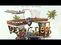 Sizzla - Progress (Dancehall 2020)