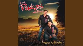 Video thumbnail of "Los Pukas del Perú - Pintaré Tu Nombre"