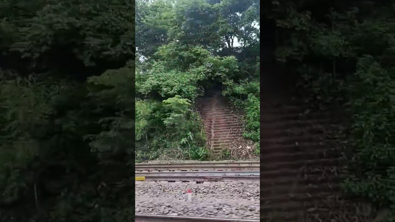 Sabuj Sabuj bhubanay 