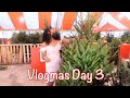 Vlogmas 2020  Day 3| Picking a Christmas Tree and Brunch