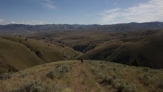 Time Lapse 1,200 Miles in the Tracks of a Wolf