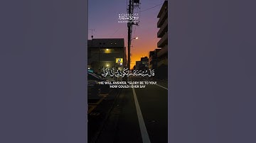 سورة المائدة | الآية ١١٦ | الشيخ ياسر الدوسري
