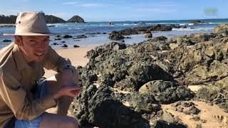⚒️ George the Geologist - Pillow Basalt