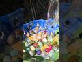 DIY gemstone water bowl… just for hummingbirds💚🐦… approved by 🐝 #birds #asmr #shorts #birdwatching