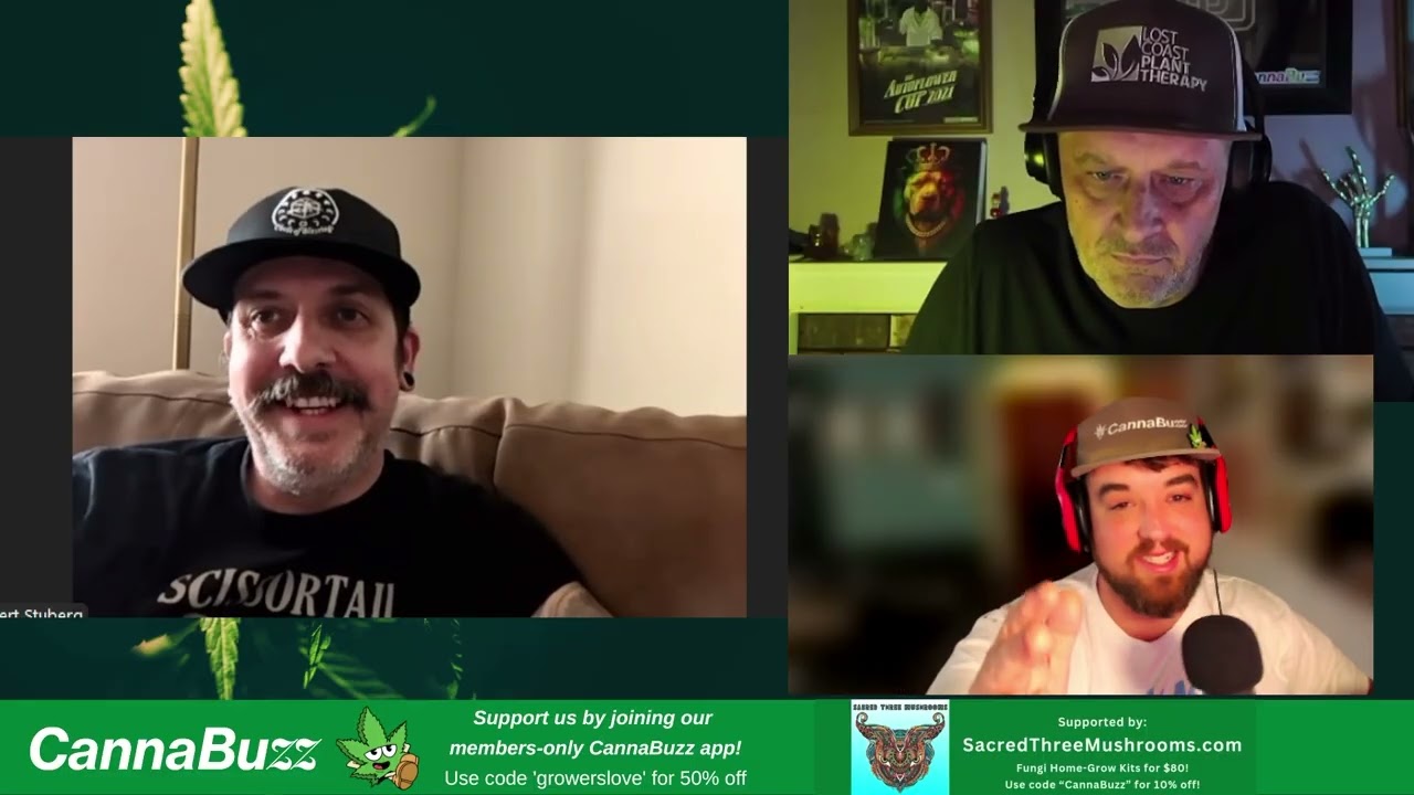 How to Breed THCV/CBG and other rare cannabinoids w/ Seattle Chronic Seeds