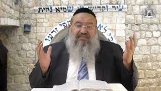 פניני הזוהר על הפרשה עם הרב רחמים נמני | פרשת כי תצא