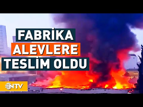 Halı Fabrikasında Yangın! | NTV