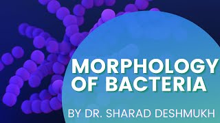MORPHOLOGY OF BACTERIA | SIZE | SHAPE | ARRANGEMENTS