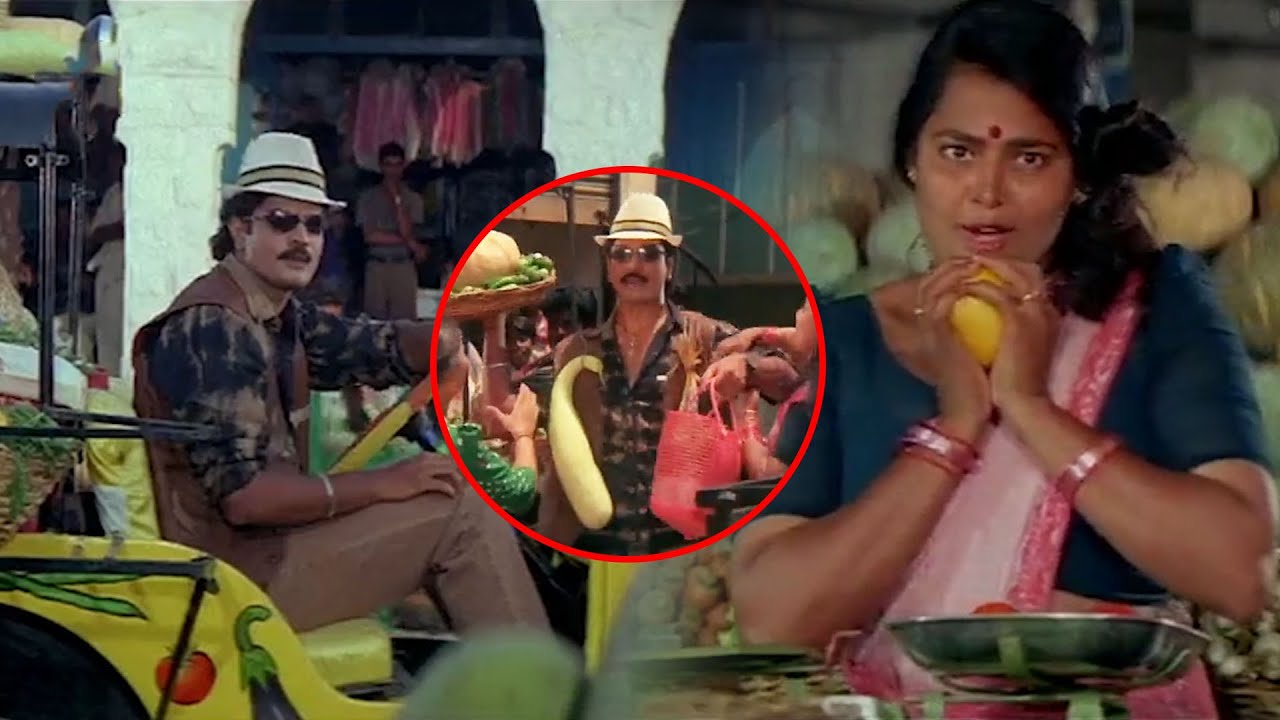 Pellivaramandi Movie Comedy Scenes | Telugu Comedy Movies || TFC Movies