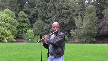 Testing the Zoom H2n as a Studio Microphone