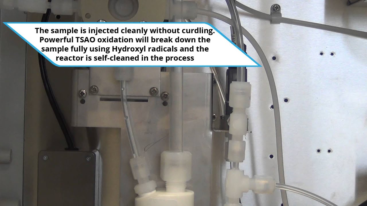 Dairy Module - YouTube