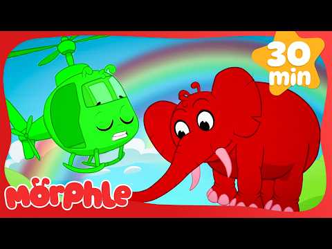 Beach in the Backyard 🏖️ Down by the Beach | Fun Animal Cartoons