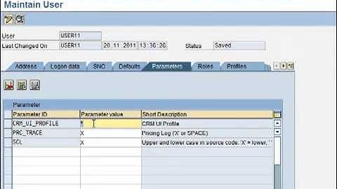SAP CRM 7 0 Overview SD