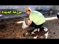 New Farm in Spain mp3