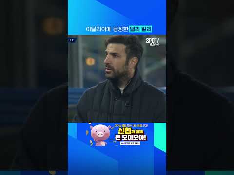 이탈리아에 등장한 델리 알리