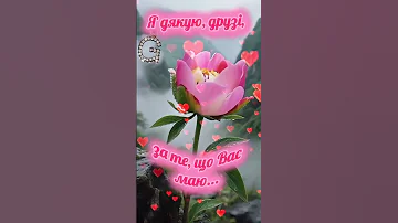 Я дякую друзі 