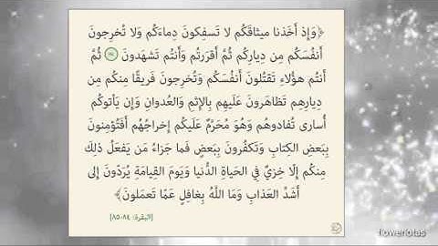 سورةالبقرة من آية 84 الى 85