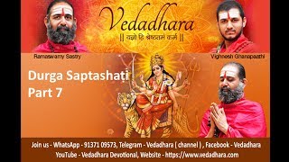 Durga Saptashati Discourses - Part 7