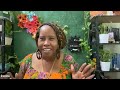 WEEKLY WEBINAR 6/12/2025: Social Work Support