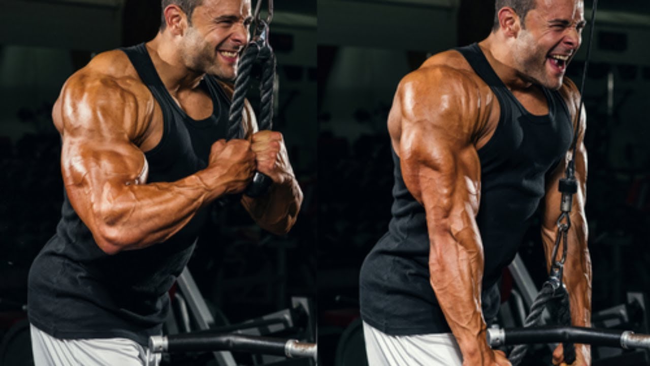 5 Cable Exercises You Should Be Doing/ Upper Body Workout Using Cable ...