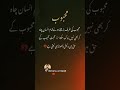 New status urdu shayri dhoka sad statuslove tiktok shayriattitude status