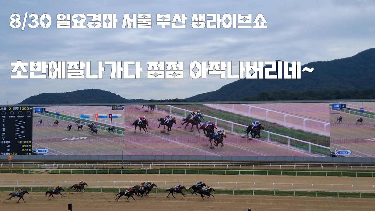 맞아! 경마하다가 하던자리 바뀌는 순간 행운도 함께 바뀌는거야!(일요경마 생라이브쇼)