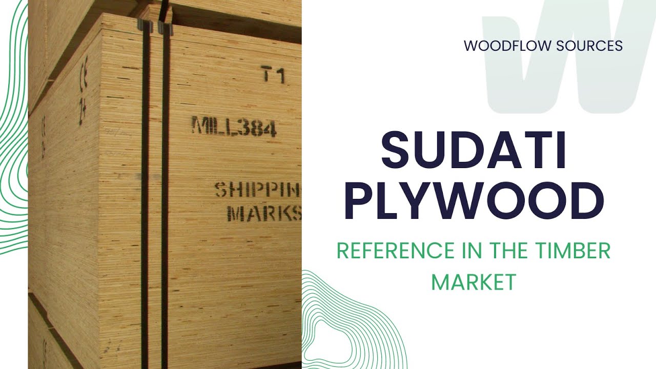 Inside Sudati Exploring Brazil's Largest Plywood Exporter (Part 02