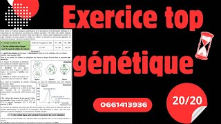 Exercices de la génétique 🧬 