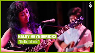 Haley Heynderickx - "The Bug Collector" (live on eTown)