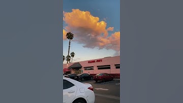 These are the BEST and WORST Asian Trader Joe