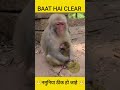 New full package   baat hai clear  magahi dubbing comedy funnydubbing youtubeshorts