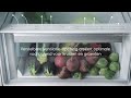 ELECTROLUX EFB3AE10S1 video