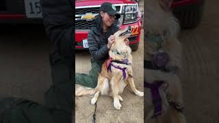 Therapy Dog Comforts Firefighter Battling Caldor Fire