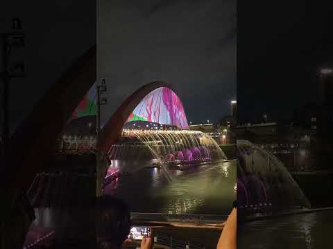 彩虹橋，位於臺北市，是一座僅供步行的橋梁，橫跨基隆河，全長167公尺，寬4.5公尺，銜接內湖區新明路與松山區饒河街，於2007年9月完工通車。 維基百科地址： 105臺北市松山區松河街180號