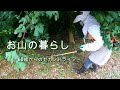 【お山の暮らし 041】61歳妻が怯える ! 山は危険がいっぱい !! 酷暑の中での今年2回目の休耕田草刈り
