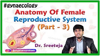 Anatomy of Female reproductive system Part 3 - Fallopian Tubes and Ovaries  - OBG Lectures FMGE