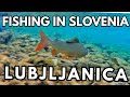 Slovenia Fly Fishing - 30mins From Airport! Lubjljanica