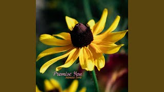 Download lagu Promise You