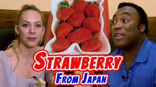 Berrylicious Adventure: Japanese Strawberry Recipes Meet American Tastebuds! ☆Let's Itadakimasu