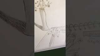 Like And Subscribe For More drawing artshorts
