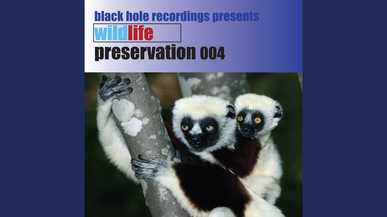 Blame It On The Funk (Funkerman Remix)