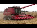 Corn Harvest 2020 | Case IH 7230 Axial Flow Combine Harvesting Corn | Ontario, Canada