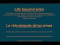 Life Beyond Arms: Challenges for the reincorporation of former FARC combatants and prisoners