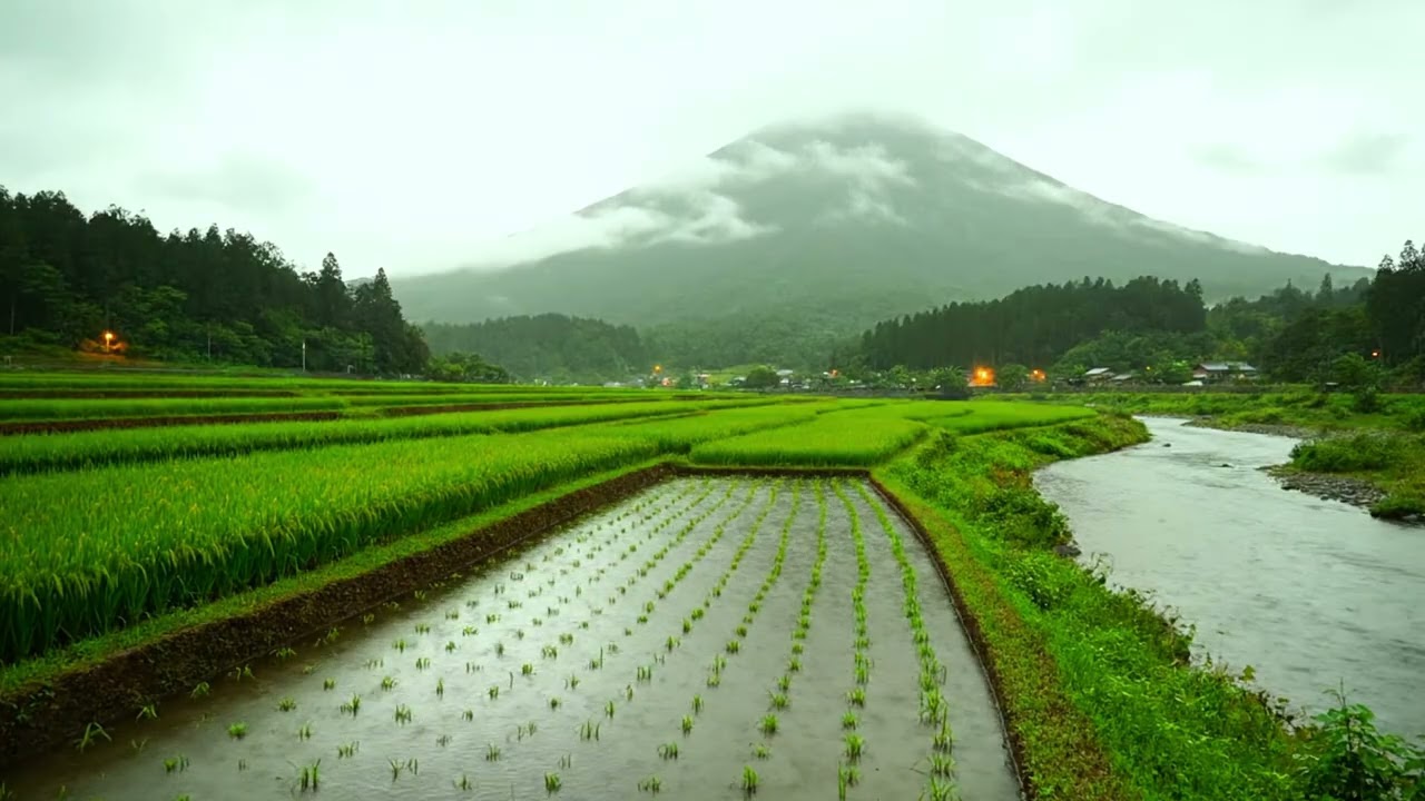 Rain Over Rice Fields 🌾⛰️ | Peaceful Mountain Ambience